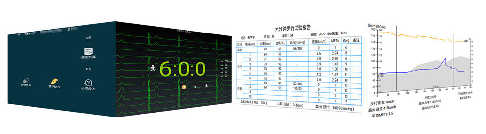 6分钟步行试验监测分析系统主要功能