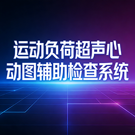 运动负荷超声心动图辅助检查系统